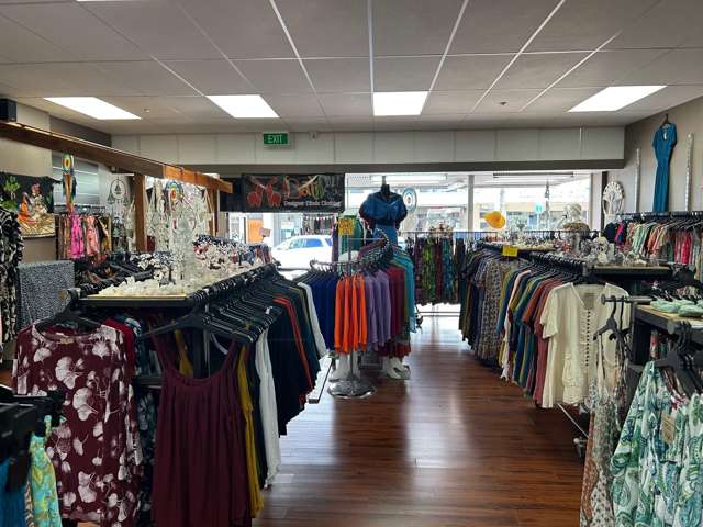 246 Emerson Street Napier South_2