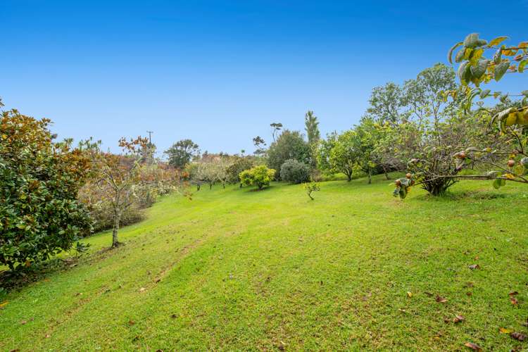 812 Inland Road Helensville_27