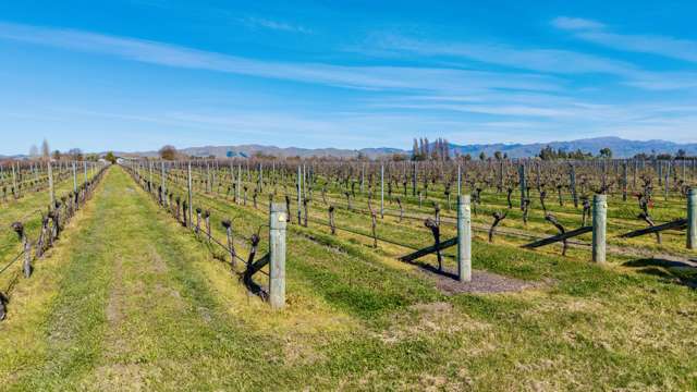 Mills and Ford Road East Grovetown_2