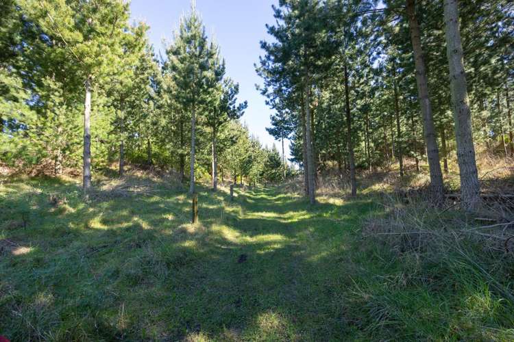 725 Raumai Road Bulls_26