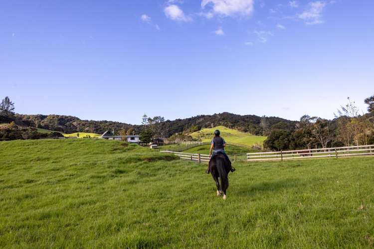 719 Waikare Road Kawakawa_39