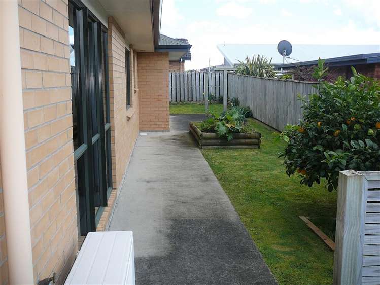 3 Kauri Grove Paeroa_5