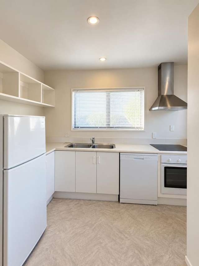 1/9 Elizabeth Street Riccarton_4