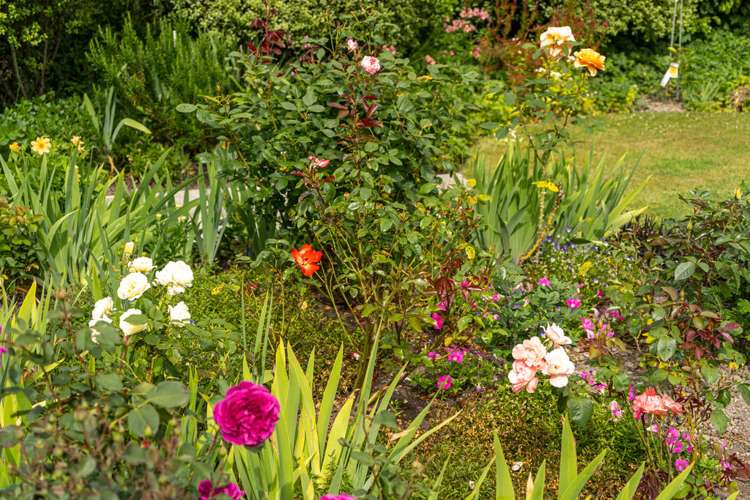 10 Chamberlain Road Masterton_20