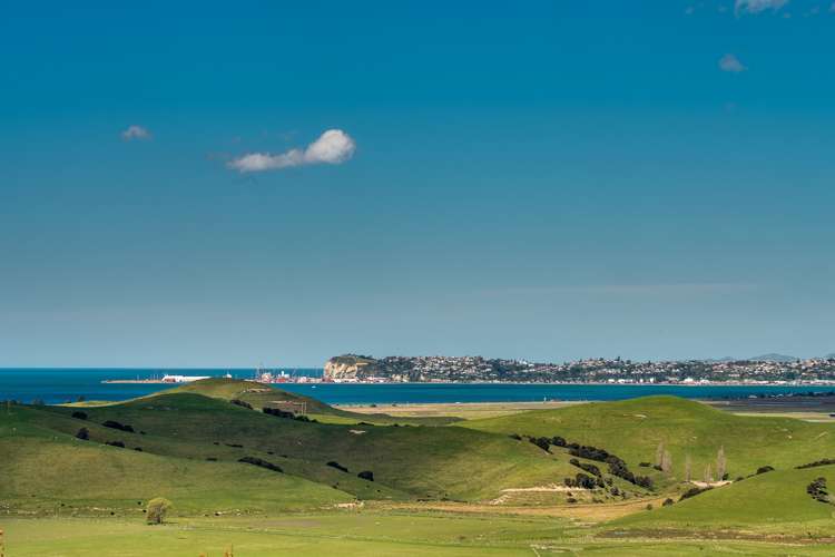 59 Avery Road Eskdale_5