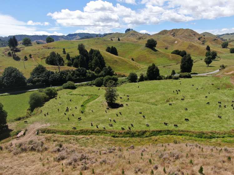 168 Matiere Road Aria_14