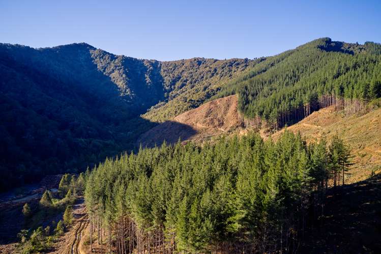 Crail Bay Kenepuru Sound_9