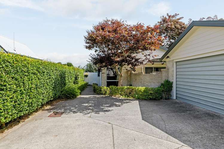 827C Heaphy Terrace Claudelands_15