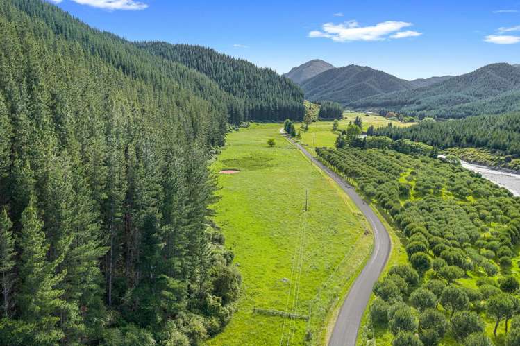 3366 Waihopai Valley Road Waihopai Valley_42