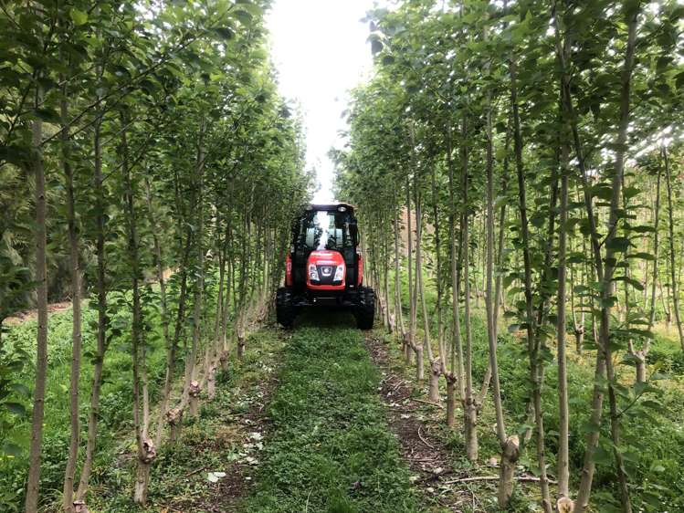 96 Engles Road Shannon_15