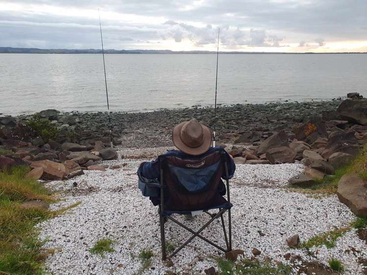 167 Summer Road Tinopai_38