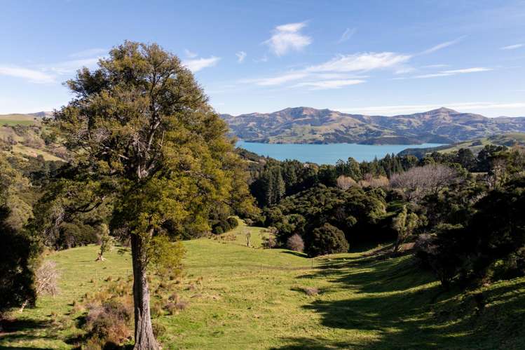 82 Purple Peak Road Akaroa_25