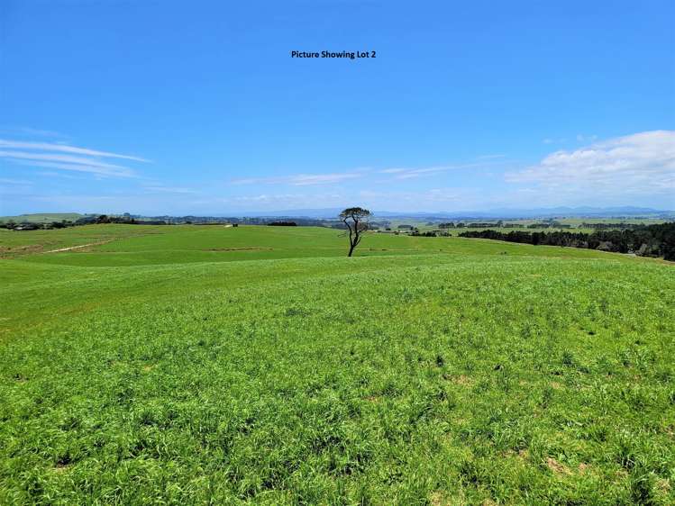 Lots 2, 3 Redhill Cemetery Road Te Kopuru Kaipara Rural Property For Sale One Roof