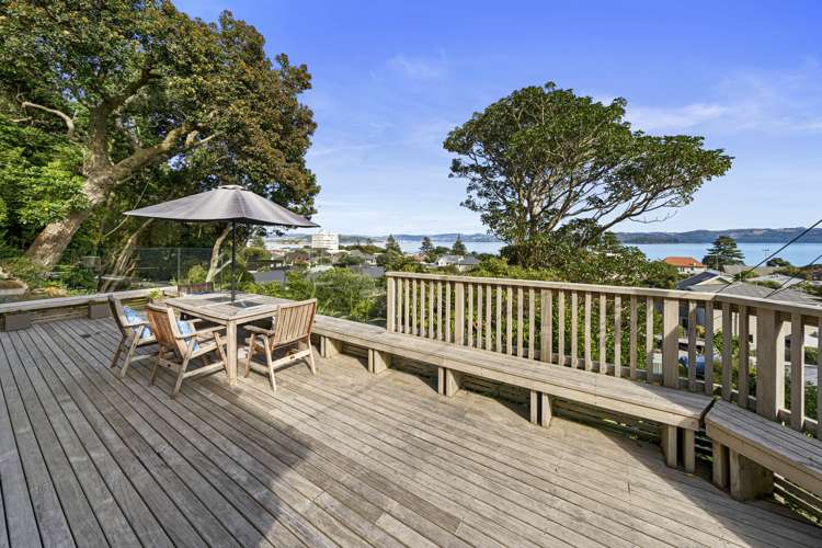 111 Muritai Road Eastbourne_5