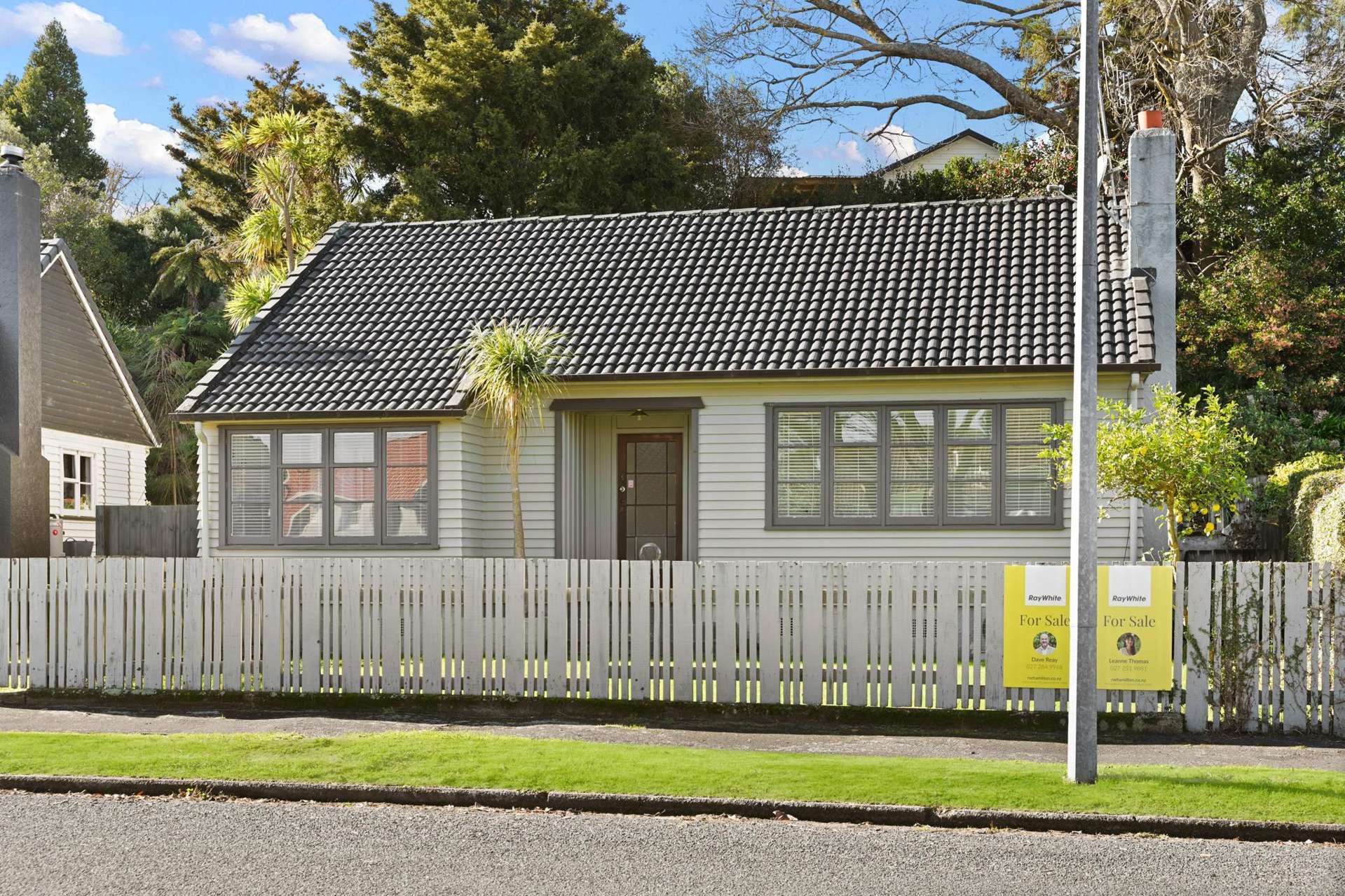 36 Galway Avenue Hamilton East_0