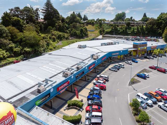 233 Fraser Street Tauranga South_4