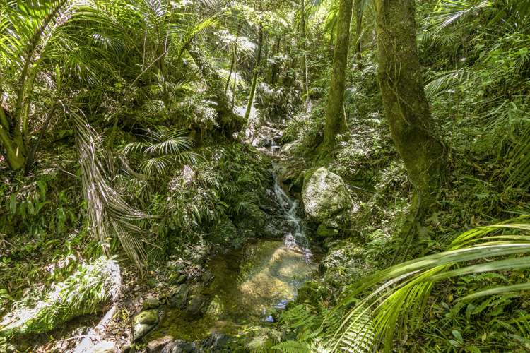 345 Hebden Crescent Kelson_21