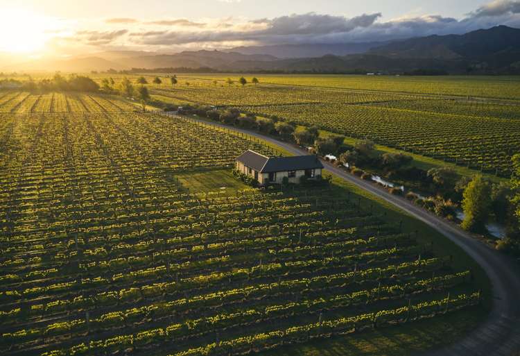 119 Conders Bend Renwick_17