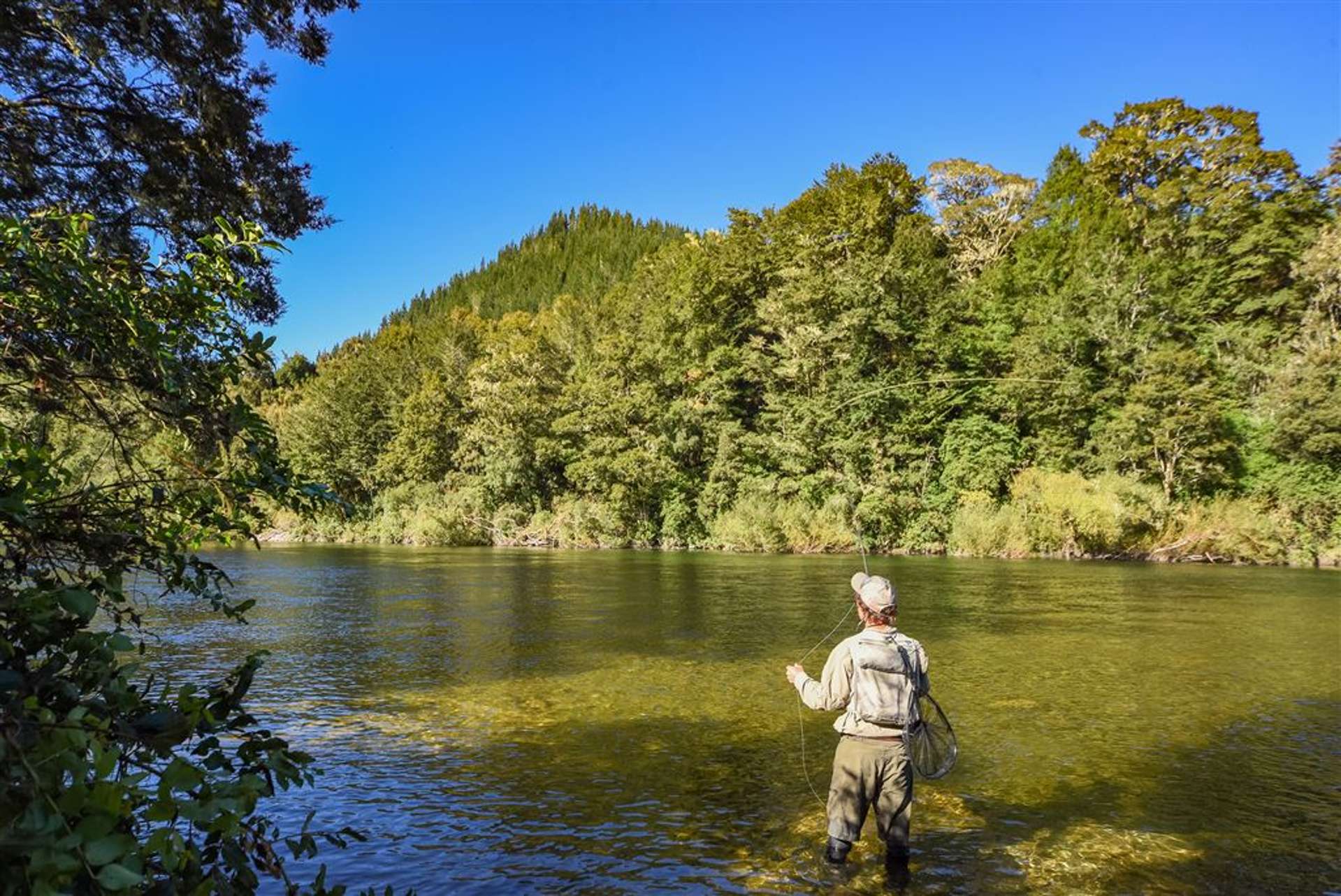 2314 Shenandoah Highway Murchison_0