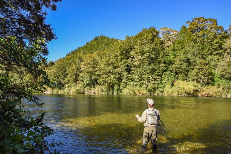 2314 Shenandoah Highway Murchison_0