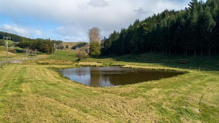 44 Redwood Park Road Redwood Valley_16