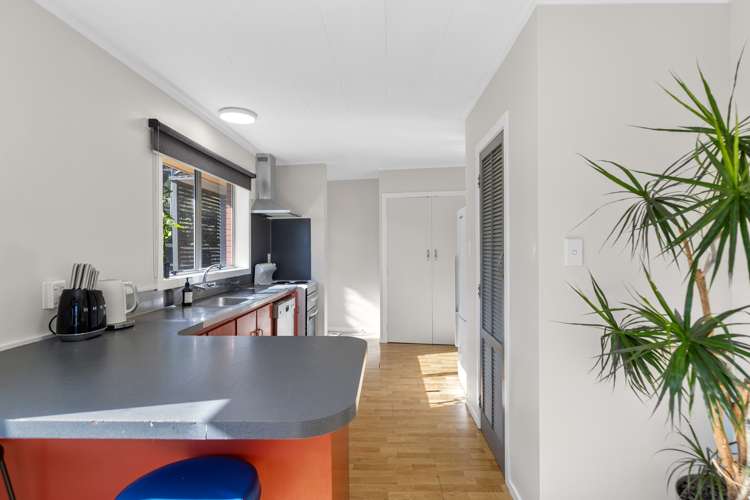 15 Burgess Street Te Aroha_8