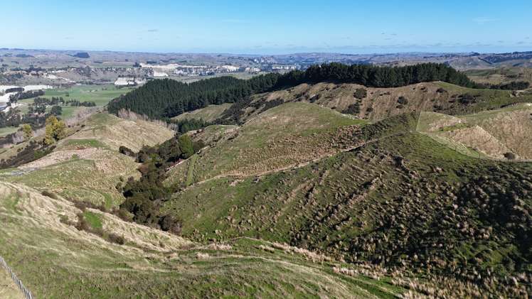 5679 State Highway 1 Mangaweka_6