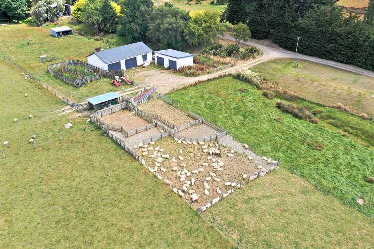 3660 Waipahi Highway Clinton and Surrounds_5