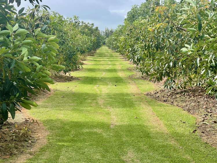 362 Kaimaumau Road Awanui_3