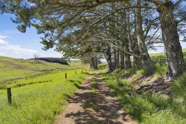 201 St Marys Road Waipu_6