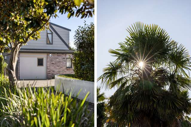 87b Grace Road Tauranga South_1