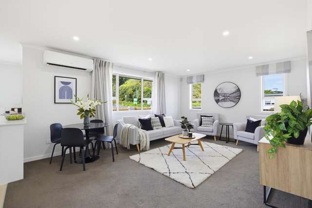 83 Devonshire Road Miramar_2