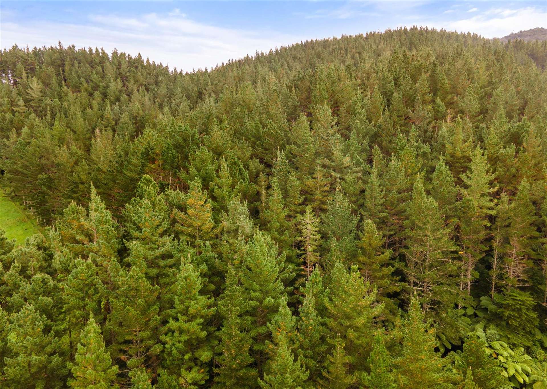 Waitete Road Waihi_0