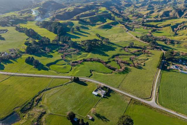 Bowen Road Eketahuna_3