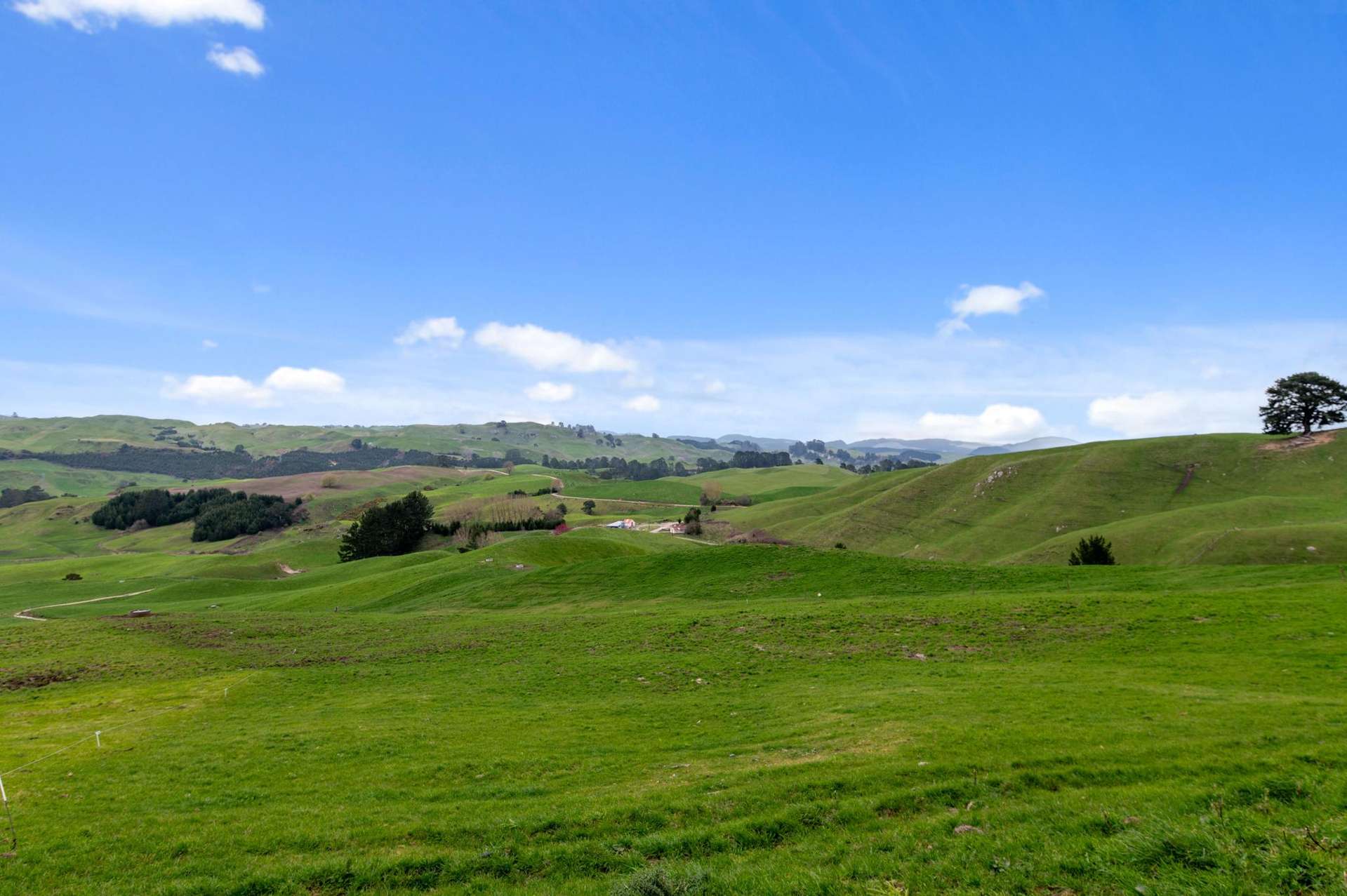 2253 State Highway 30 Atiamuri_0