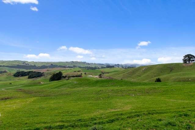 Potential for growth - Capitalise on opportunity