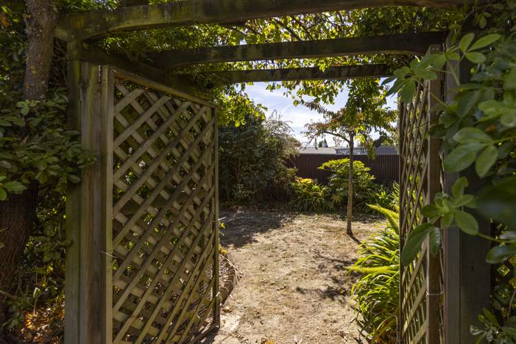 310a Scott Street Witherlea_16