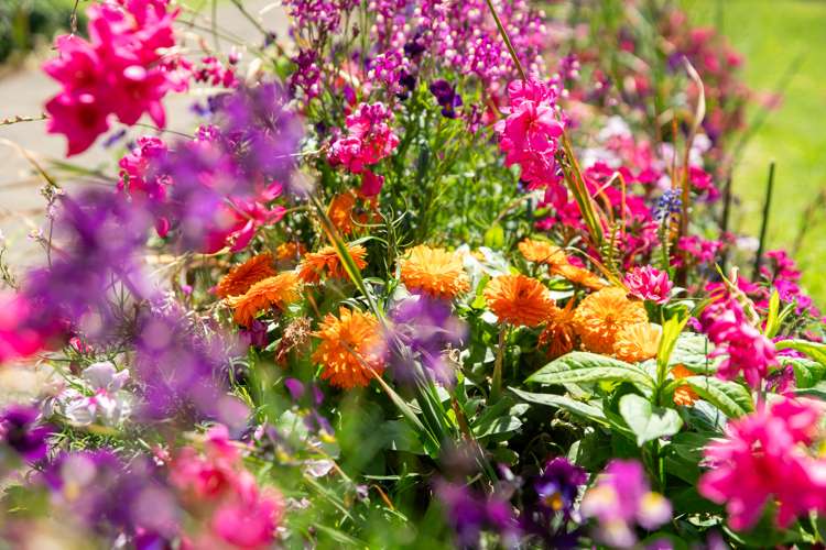 68 Ocean Road Paraparaumu Beach_23