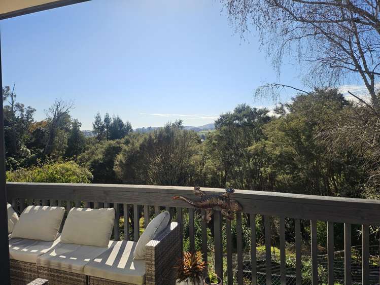19B Upland Road_2