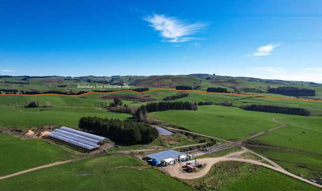 Eastern Southland Dairy Farm