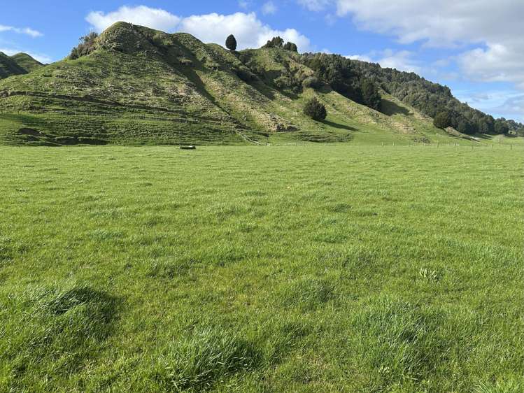 2858 State Highway 30 Benneydale_13