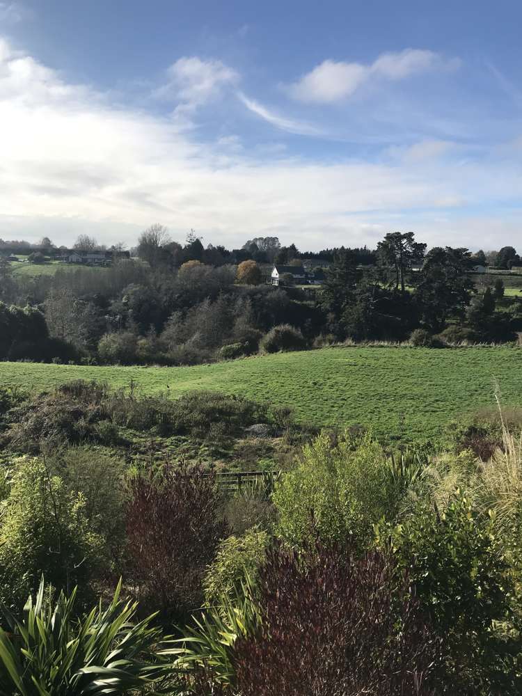 233a Raynes Road Rukuhia_3