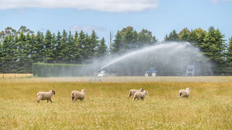 Waireka Road Darfield_29