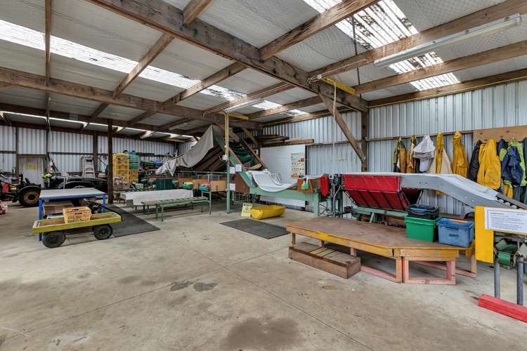 36 Elmsley Road Maungatapere_33