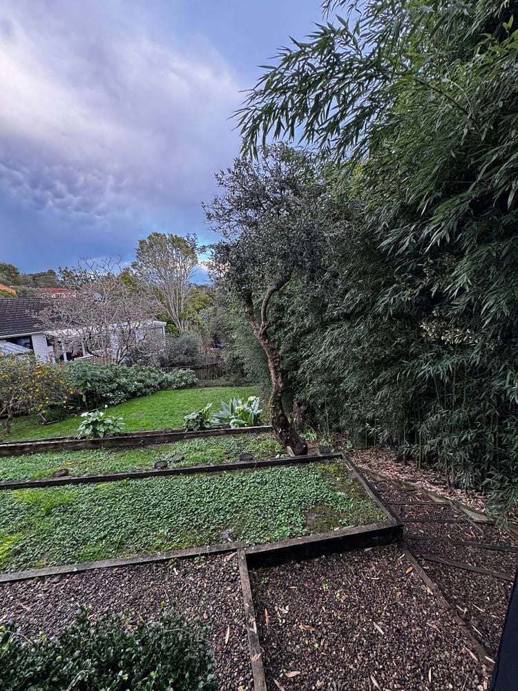 4a Redwood Drive Massey_15