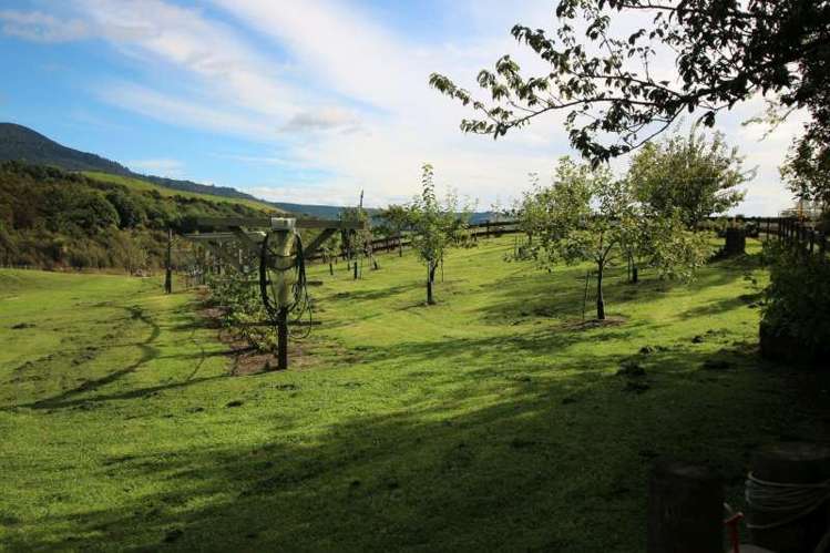 11 Omori Road Omori_13