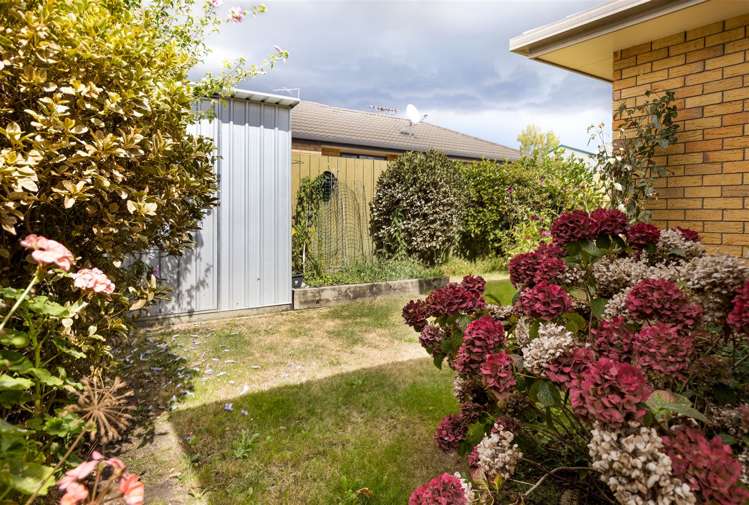 33b Litchfield Street Redwoodtown_19