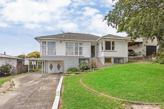 59 Ellis Avenue Mount Roskill_1