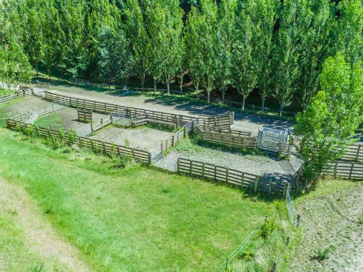 287a Millars Road Longbush_18