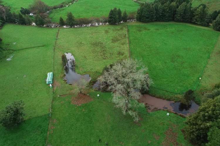 496 Waikaka Road Waimiha-Ongarue_30